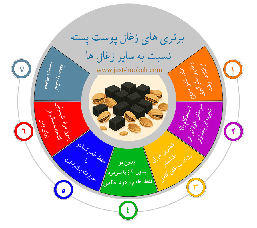 اینفوگرافی ویژگی های زغال پوست پسته