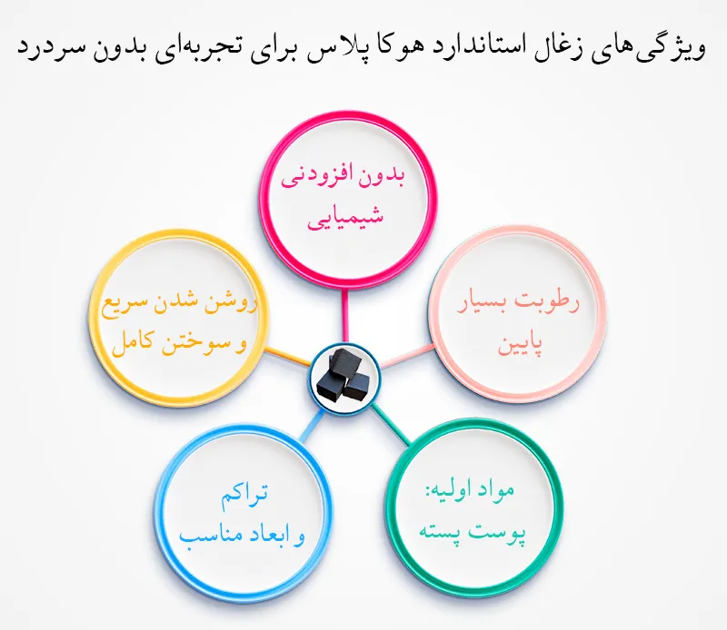 انفوگرافی ویژگی های زغال قلیان هوکاپلاس برای جلوگیری از سردرد